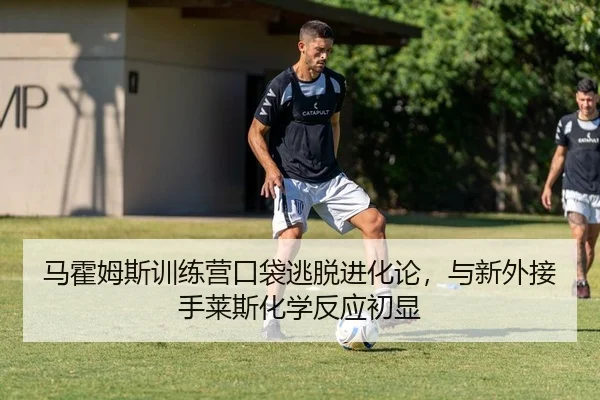 马霍姆斯训练营口袋逃脱进化论，与新外接手莱斯化学反应初显