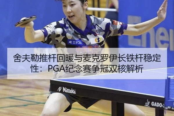 she-fu-lei-tui-gan-hui-nuan-yu-mai-ke-luo-yi-zhang-tie-gan-wen-ding-xing-ji-nian-sai-zheng-guan-shuang-he-jie-xi-3-477.jpg