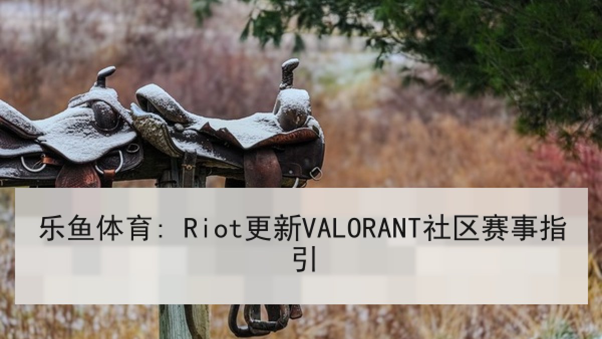 乐鱼体育: Riot更新VALORANT社区赛事指引