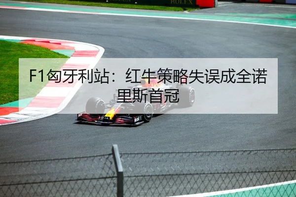F1匈牙利站：红牛策略失误成全诺里斯首冠
