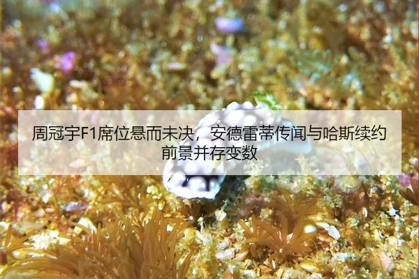 zhou-guan-yu-xi-wei-xuan-er-wei-jue-an-de-lei-di-chuan-wen-yu-ha-si-xu-yue-qian-jing-bing-cun-bian-shu-3-778.jpg