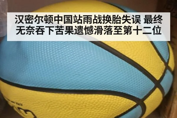汉密尔顿中国站雨战换胎失误 最终无奈吞下苦果遗憾滑落至第十二位